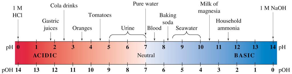 The ph of Commonly-Occurring Acid and Base Substances Many common substances are either acids or bases. Citrus fruits such as oranges and lemons contain acid compounds.