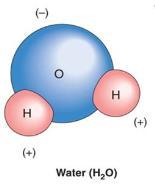 hemical Bonds Bonds are unions between electron structure from different atoms Molecules Same element ( 2 ) Different element ( 2 O) ompound Molecule 33 opyright 2009 Pearson Education, Inc.
