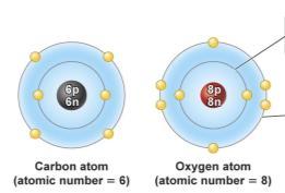 Let s look at arbon Oxygen ovalent Bonds Double Bond 43 opyright 2009 Pearson Education, Inc.