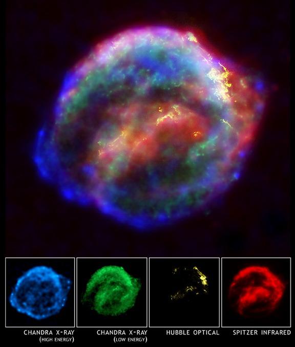 Stellar Deaths and Compact Objects Next reported Supernovae witnessed by Tycho Brahe in 1572 and Johannes Kepler in 1604. This was the last known supernovae in our Galaxy.