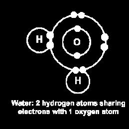 Forms when 2 or more NONMETALS share electrons in COVALENT BONDS.