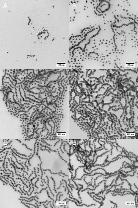 Figure S10. TEM images of PS-CoNPs in the sample aliquots drawn from solution at 170 C at: (a) 15 min, with particle diameter = 12.6 ± 2.79 nm (b) 1 h, with particle diameter = 17.5 ± 2.