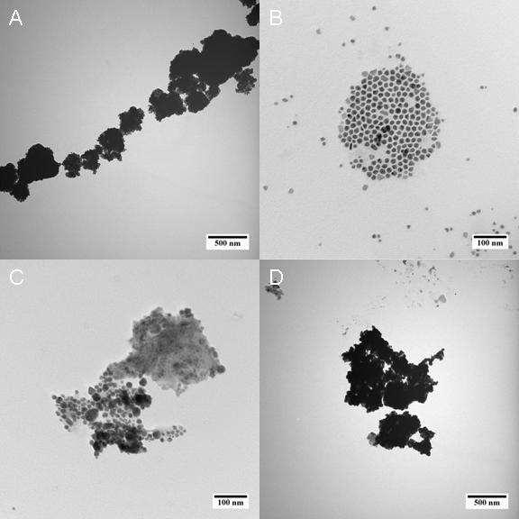 Figure S11. TEM images of CoNPs in the sample aliquots drawn from solution under different reaction conditions: (a) 6.67 x 10-2 mmol of oleic acid (section 2.5.1), (b) 0.