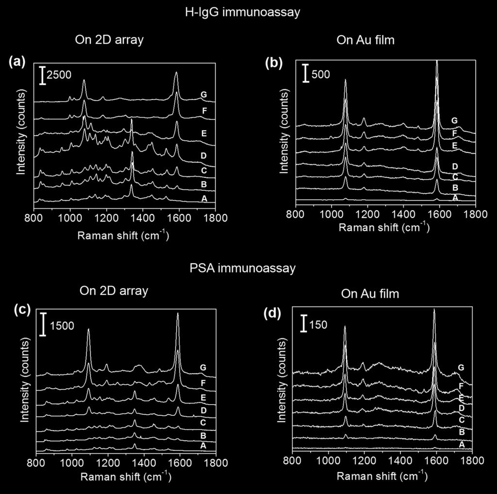 193 194 195 196 8. Raman spectra of H-IgG and PSA immunoassays on SERS and Au film substrates 197 198 Fig.