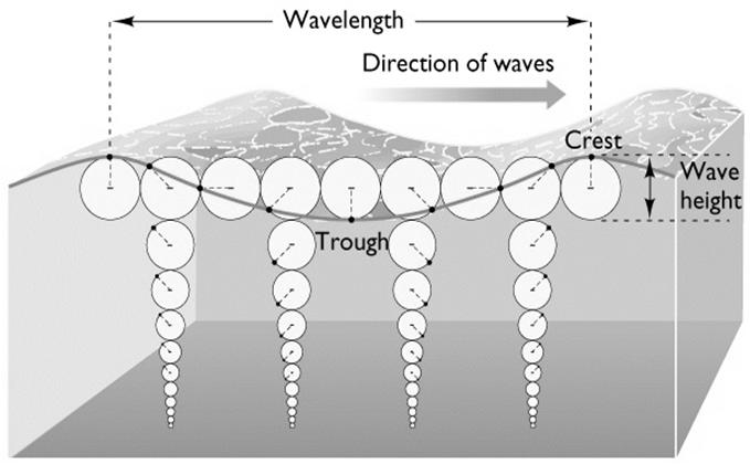 Waves may also be generated by earthquakes, submarine landslides and meteorites. Wave height is the vertical distance between crest and trough. Wave length is the horizontal distance between crests.