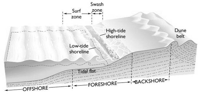 Wave Motion and Sediment Sorting Question Why does sand accumulate at the beach?? Wave Motion and Sediment Sorting Waves sort sediment particles by size.