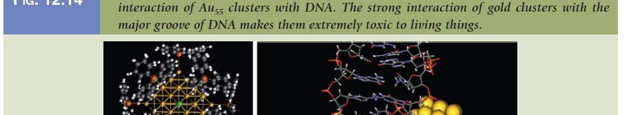 Attaching Au55 to DNA