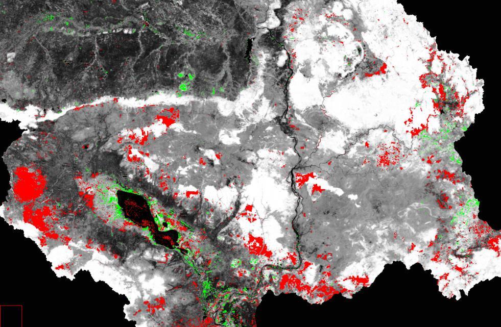 Detection of land cover changes