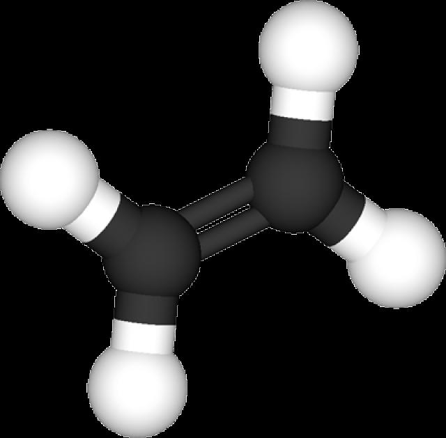 Procedure: The purpose of this activity is to build organic molecules using models.