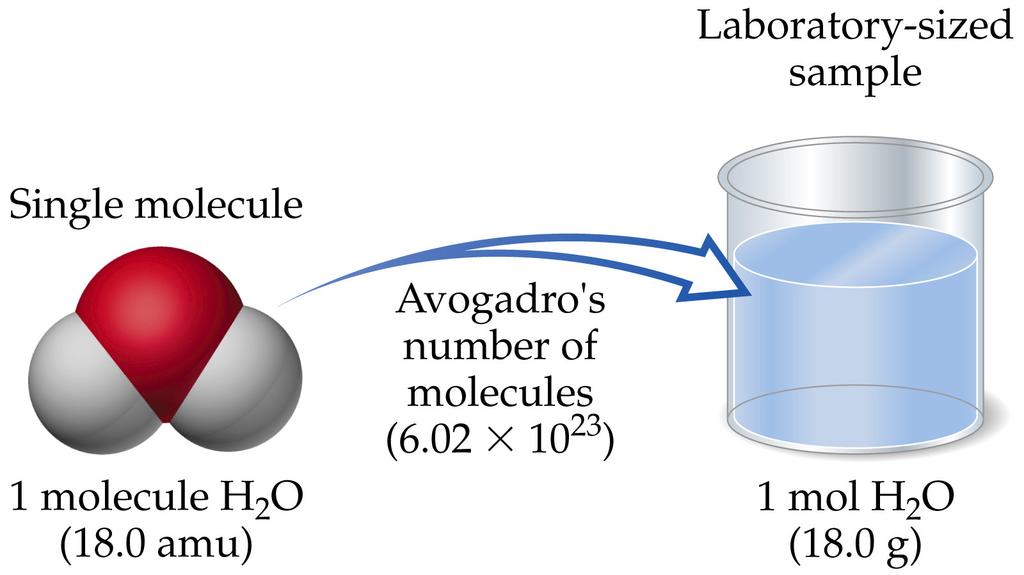 The mole links Avogadro s Number of atoms or molecules to their mass in grams.