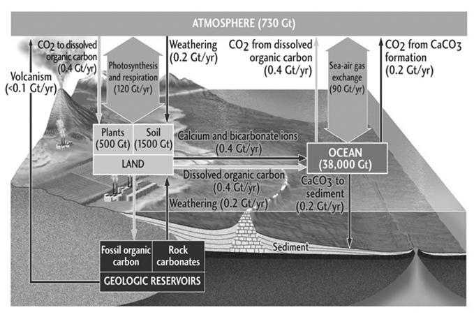 Hydrologic Cycle: H and O isotopes Heavier isotopes depleted in gas, enriched in liquid and solid.