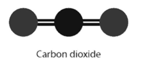Carbon Cycle CO 2 Carbon Cycle CO 2 Sun emits