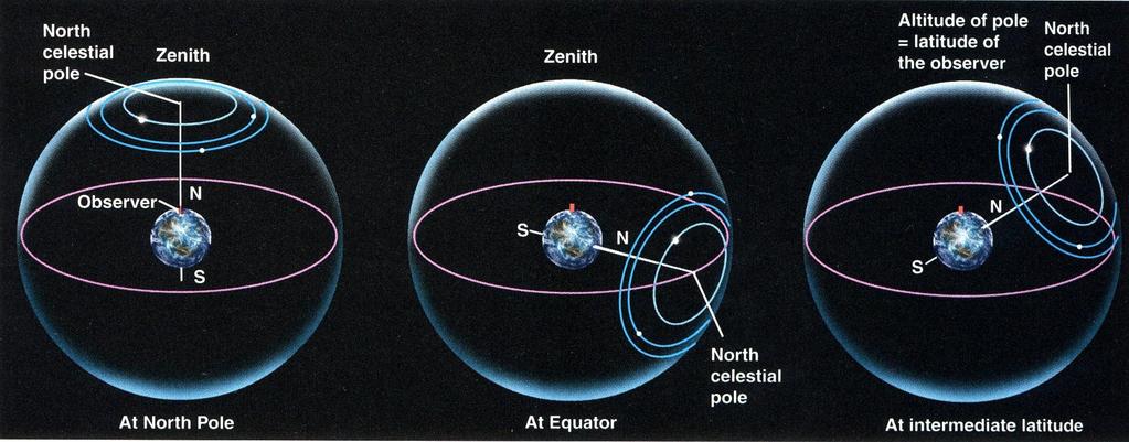 25 The Celestial Poles The North Celestial Pole lies overhead for an observer at the North Pole