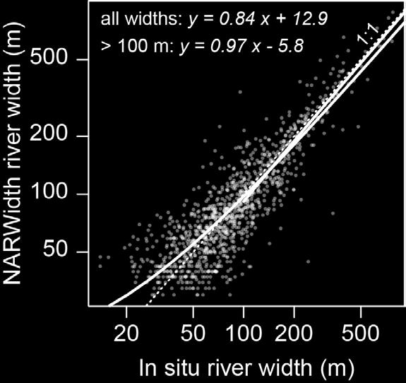 situ width measurements of