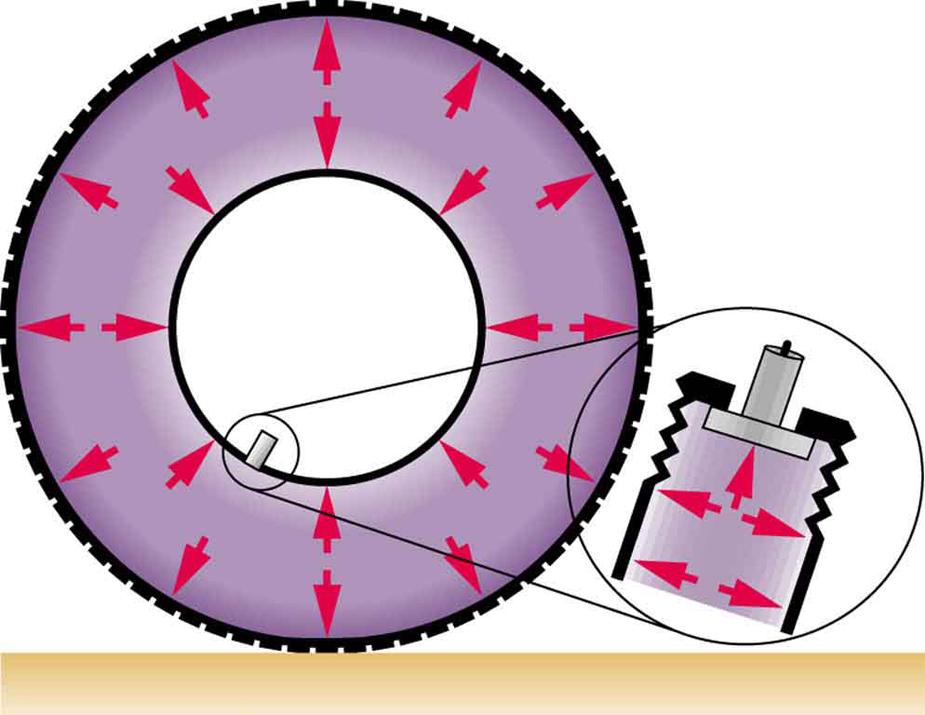 Connexions module: m42189 3 Figure 2: Pressure inside this tire exerts forces perpendicular to all surfaces it contacts.