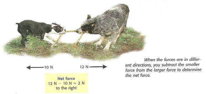 In this example, the paper clip is not moving, so the net force is zero. How do forces combine to form the net force?