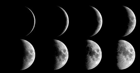 Earth s satellite: The Moon and its Phases 4 1)