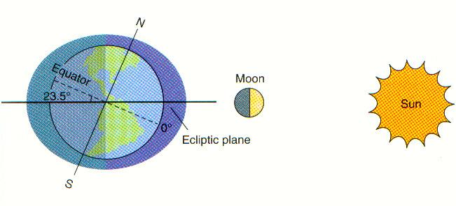 over meridian and opposite meridian Tidal Bulges Spring tide Moon s gravity is enhanced by being in a line with the sun Results in a higher tide Neap tide Sun is perpendicular to the position of the