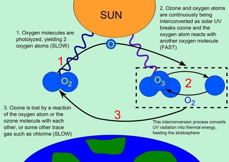 www.ck12.org FIGURE 1.1 (1) Solar energy breaks apart oxygen molecules into two oxygen atoms. (2) Ozone forms when oxygen atoms bond together as O 3.