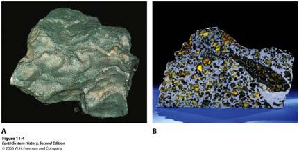 A. Stony meteorite ultramafic in composition, olivine-rich