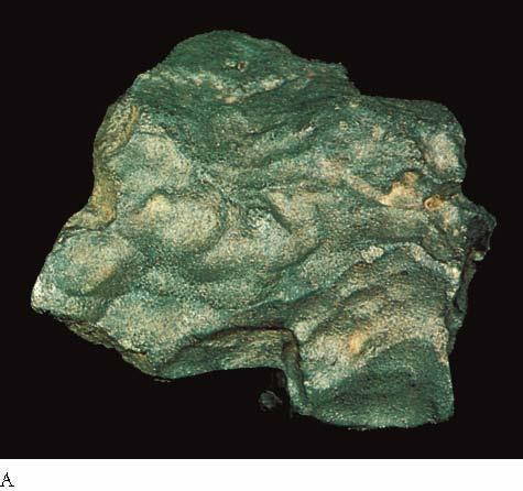 Origin of the Universe Stony meteorites Rocky