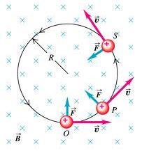 <Examples> The positive charge moving to the right in a magnetic field B that is into the
