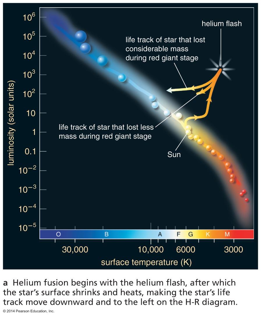 Life Track after Helium Flash Models show that a red giant should
