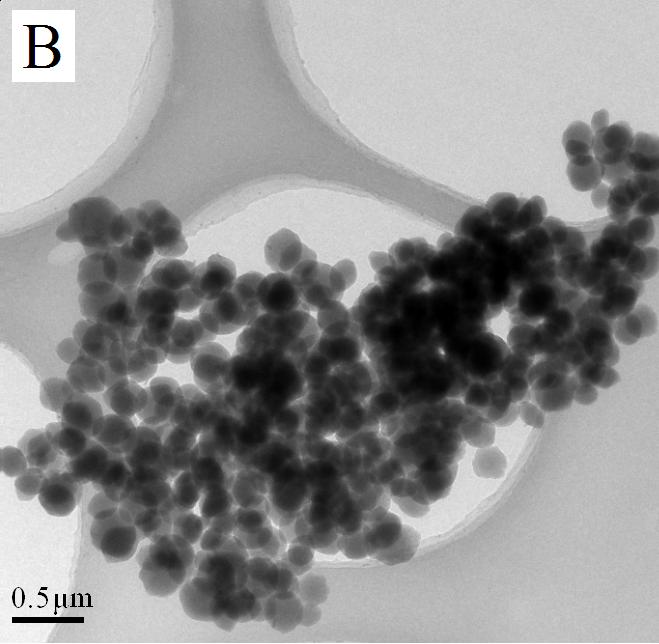 distribution of pure mesoporous silica particles. Fig.