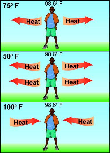 The rate of heat transfer In nature, heat transfer always occurs from hot to cold until thermal equilibrium is reached. The rate of heat transfer is proportional to the difference in temperature.