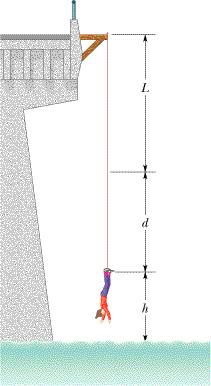 EXAMPLE : Bungee Jumper A 61.0 kg bungee-cord jumper is on a bridge 45.0 m above a river. The elastic bungee cord has a relaxed length of L = 25.0 m. Assume that the cord obeys Hooke's law, with a spring constant of 160 N/m.