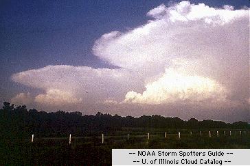 63) What kind of clouds are thunderstorm clouds? a. Cumulus b. Stratus c. *Cumulonimbus 64) Cirrus clouds look: a. *thin and wispy. b. dark and dangerous. c. large and puffy.