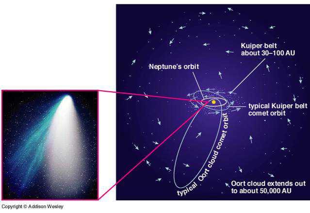 Origin of the Comets The nebular theory predicted the existence of the Kuiper belt 40 years before it was discovered! The leftover icy planetesimals are the present-day comets.