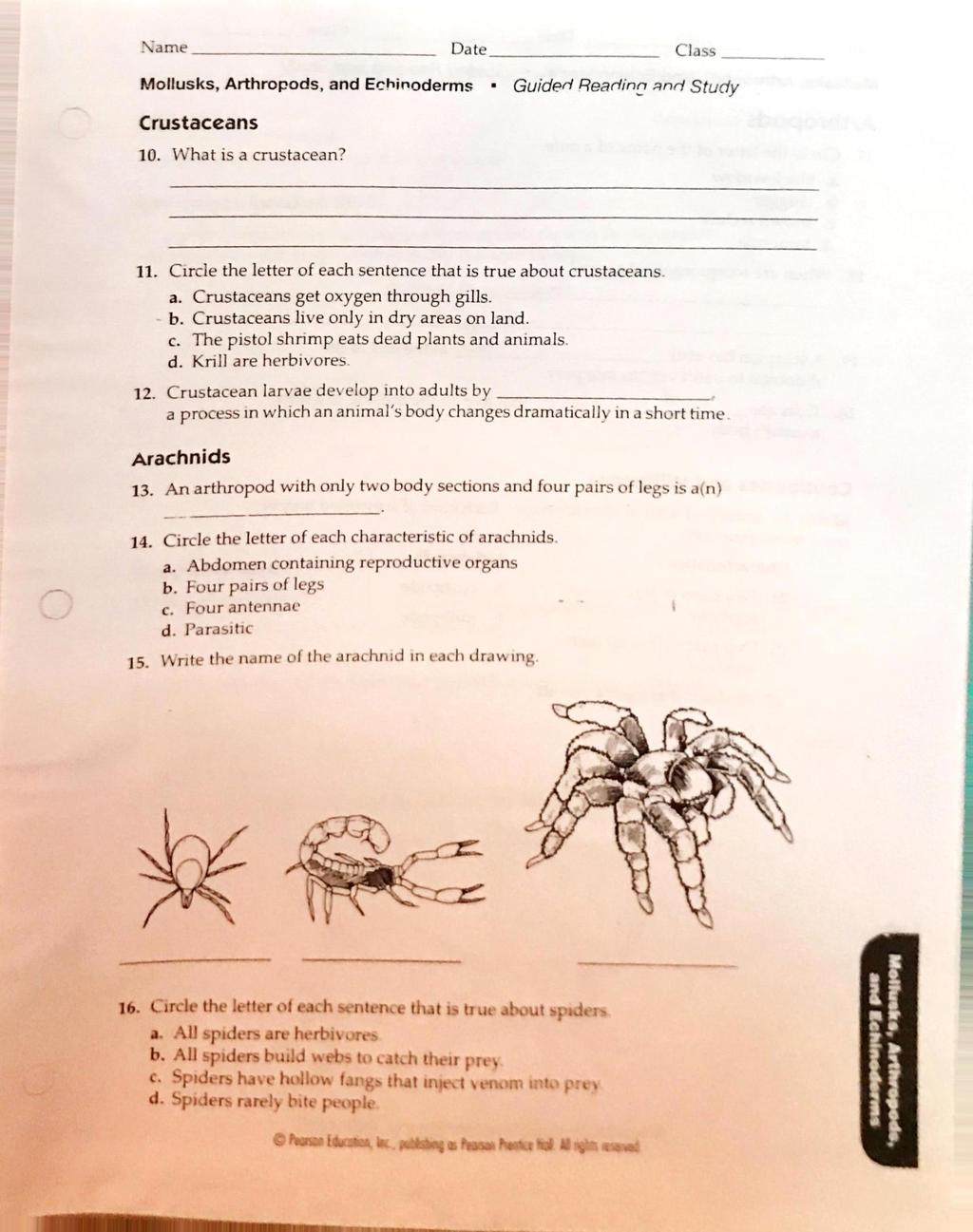 Name Da te Class Crustaceans 10. What is a crustacean? 11. Circle the letter of each sentence that is true about crustaceans. a. Crustaceans get oxygen through gills. b.