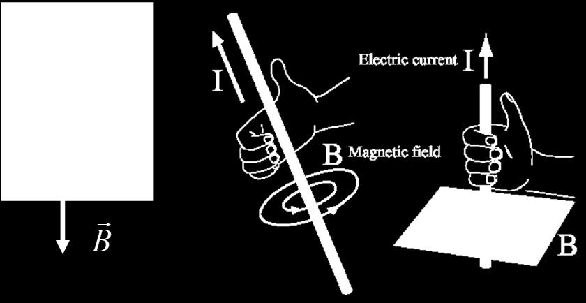 Permanent magnet Current carrying conductor: