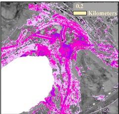 Earth Observation tools for mineral exploration Mineral thematic map