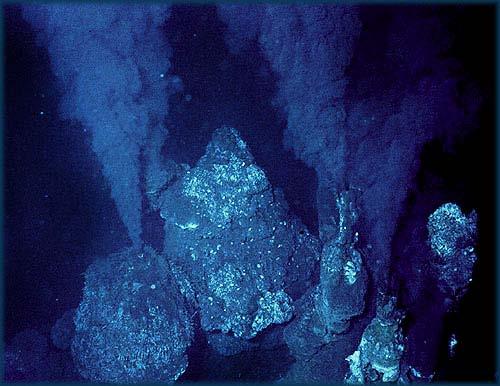Hydrothermal Vent: Chemosynthesis