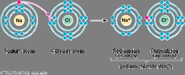 Chemical Bonds Covalent bonds Hydrogen bonds Ionic bonds Ionic Bonds Electrons are donated between atoms Attraction of charged atoms (ions) Forms a