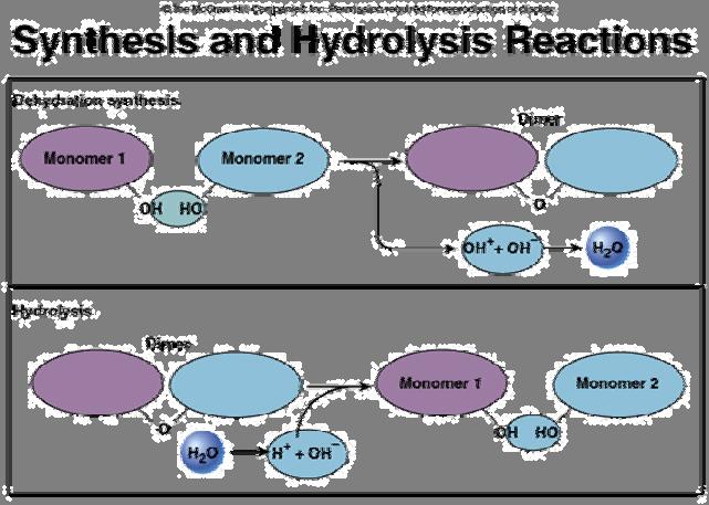 Chemical Reactions A chemical bond is formed or broken A chemical equation shows: reactants products Types of Reactions Decomposition: AB A + B