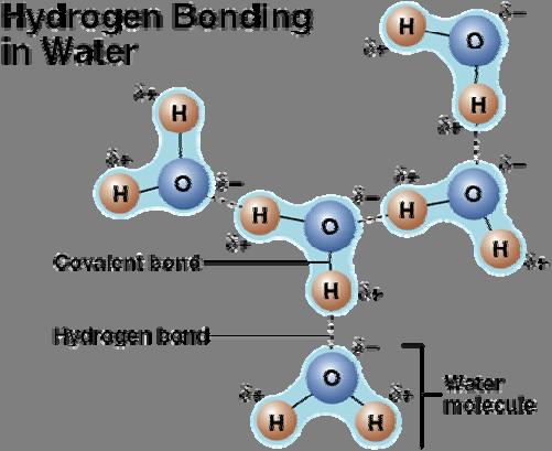 Chemical Bonds Covalent bonds