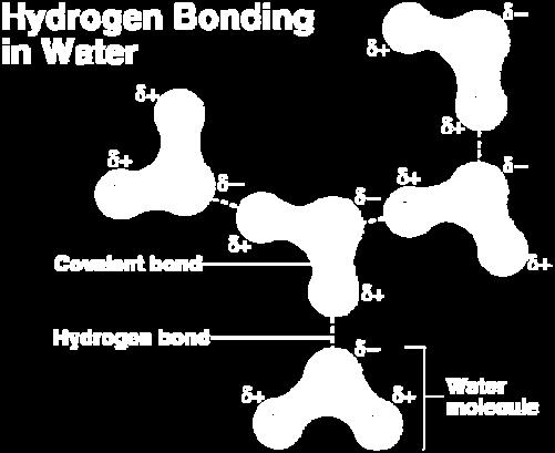 Bonds Weakest chemical bond Form