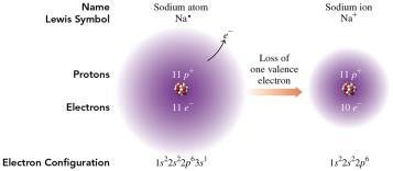 Ions: Loss of Electrons Ions, which have electrical charges, form when atoms lose or gain electrons to form a stable electron configuration.