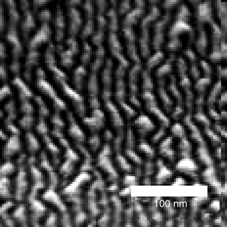 1.3 Quantum Dots: Distinctive Properties for Ultrafast Devices j7 Figure 1.3 Scanning electron microscope image of a plan view of a sample of nonovergrown InAs quantum dashes.