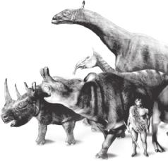 Cenozoic Life The Age of Mammals The mass extinction event at the end of the Mesozoic era meant that there was more space for the surviving species.