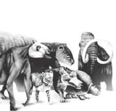 The new food sources helped make it possible for many animals, including mammals, to evolve. Mammals were so successful during the Cenozoic era that this era is sometimes called the age of mammals.