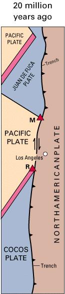Cenozoic Tectonics Key tectonic elements: 1) Farallon Plate (east of East Pacific Rise; east drift) 2) Pacific Plate (west of East