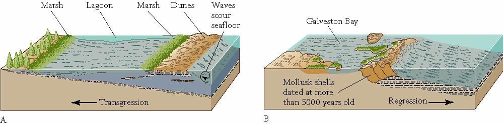 Transgression Sea Level Lagoonal complexes transgress over coastal plain
