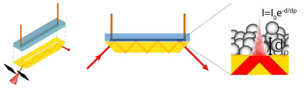 verview of the flowcell Coating from suspension, cell