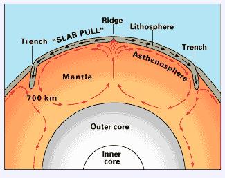Mantle convection: convection currents in the mantle, heated from below by the core shunt the lithospheric plates around like rafts in an ocean Upwelling areas are associated with diverging