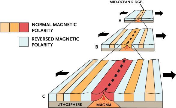 Ocean Floor Topography Ocean ridges and deep-sea trenches puzzled geologists for more than a decade after their discovery.