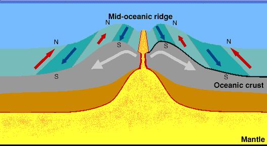 Continental crust has a lower density, and typical igneous rocks are granite (and rhyolite). Oceanic crust has a higher percentage of magnesium and iron (ferrous) more mafic minerals.
